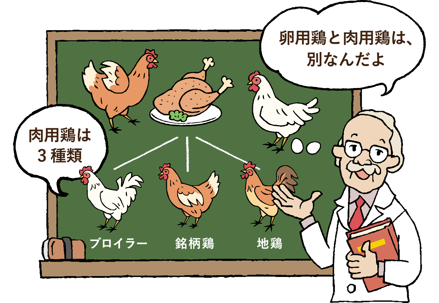 [第2回]日本での鶏の区分